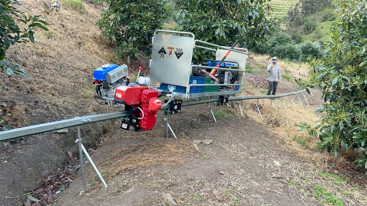 Monorraíl agrícola de 300 kg importado e instalado en un cultivo de aguacate en ladera en Colombia